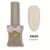 AM29