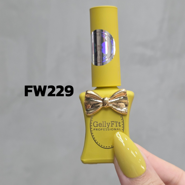 FW229