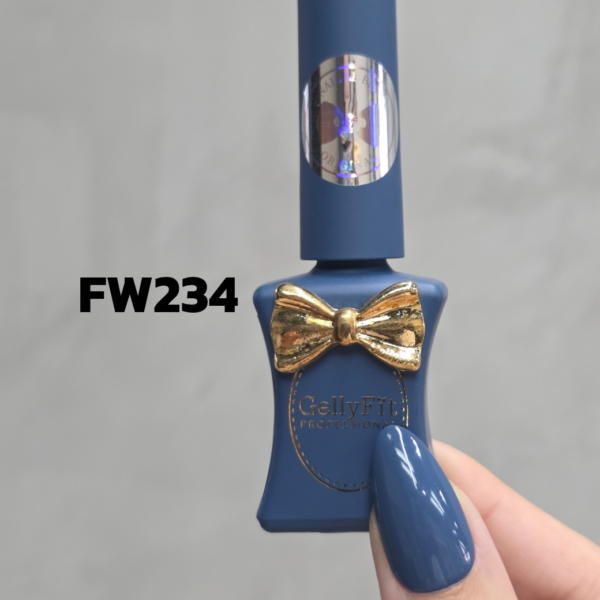 FW234