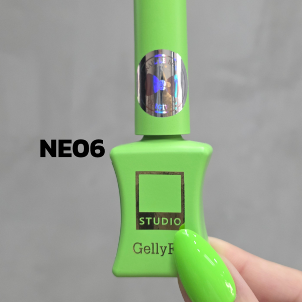 NE06